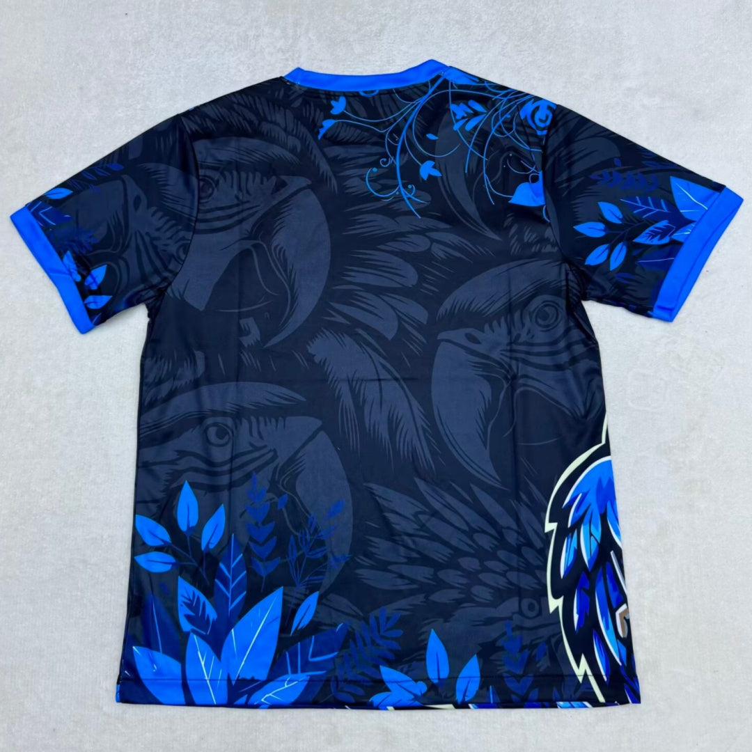 Maillot 25/26 Brésil Spécial blue bird