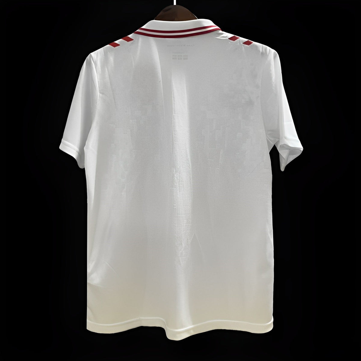 Maillot 24/25 Danemark Blanc