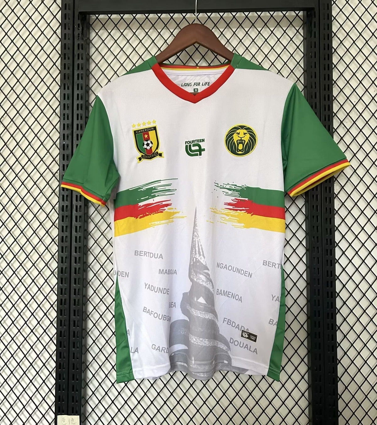 Maillot Cameroun Spécial 25/26