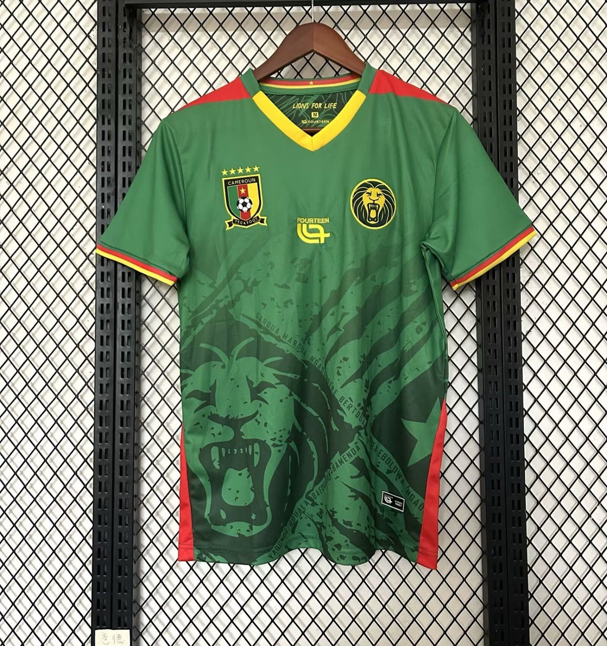 Maillot Cameroun Spécial 25/26