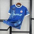 Maillot Édition Spécial Mer Baltique FC Hansa Rostock 2025/26