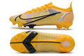 Crampons Mercurial Vapor XIV Elite FG