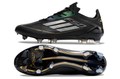 Crampons F50