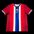 Maillot 24/25 Norvège Domicile